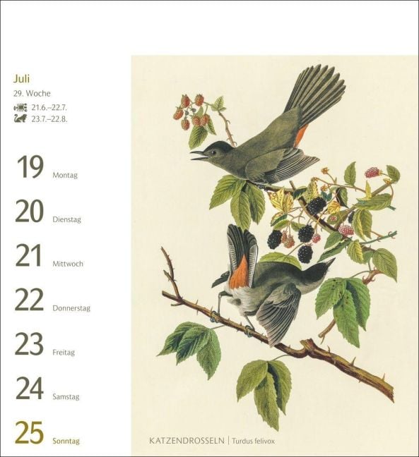 InsideView 10
