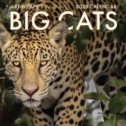 Cover-Bild zum Titel '2026 Big Cats Wall Calendar' von 'Art Wolfe'