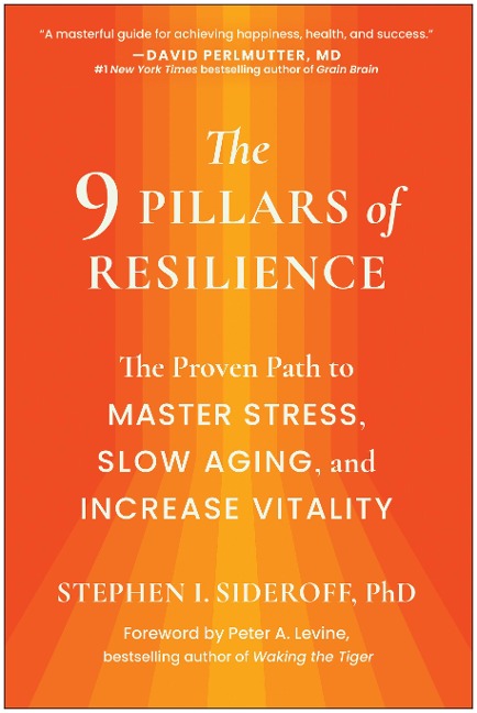 The 9 Pillars of Resilience - Stephen I. Sideroff