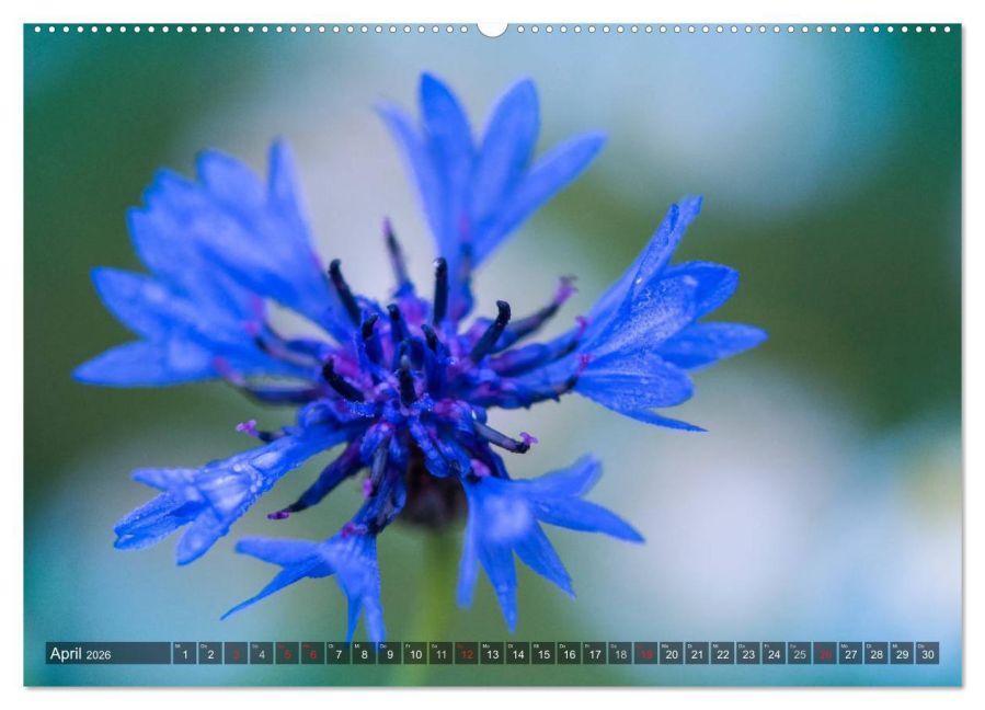 InsideView 8