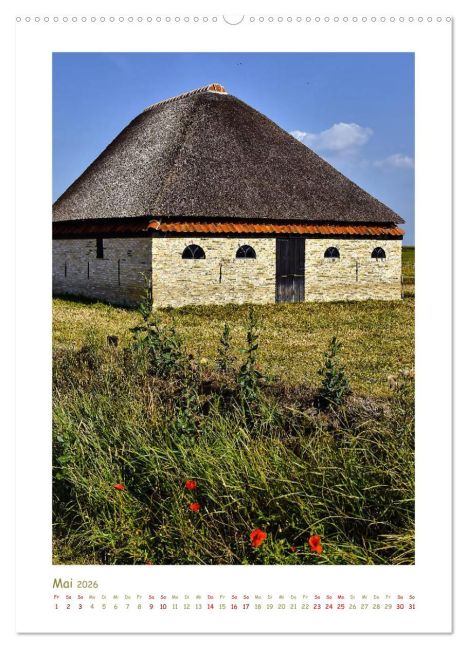 InsideView 10