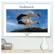 Weißstorch, der stolze Flieger (hochwertiger Premium Wandkalender 2026 DIN A2 quer), Kunstdruck in Hochglanz - Mirjam Geggier