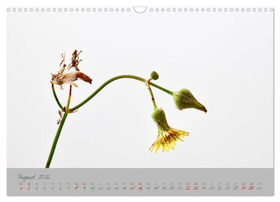 InsideView 13