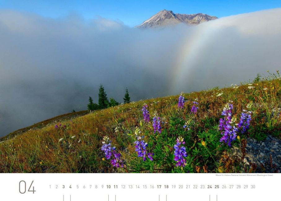 InsideView 4