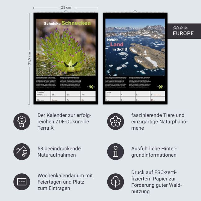 InsideView 13