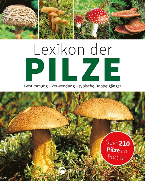 Lexikon der Pilze: Bestimmung, Verwendung, typische Doppelgänger - Hans W. Kothe
