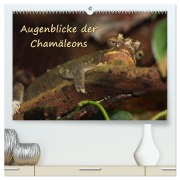 Cover-Bild zum Titel 'Augenblicke der Chamäleons (hochwertiger Premium Wandkalender 2026 DIN A2 quer), Kunstdruck in Hochglanz' von 'Chawera Chawera'