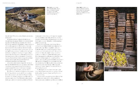 InsideView 5