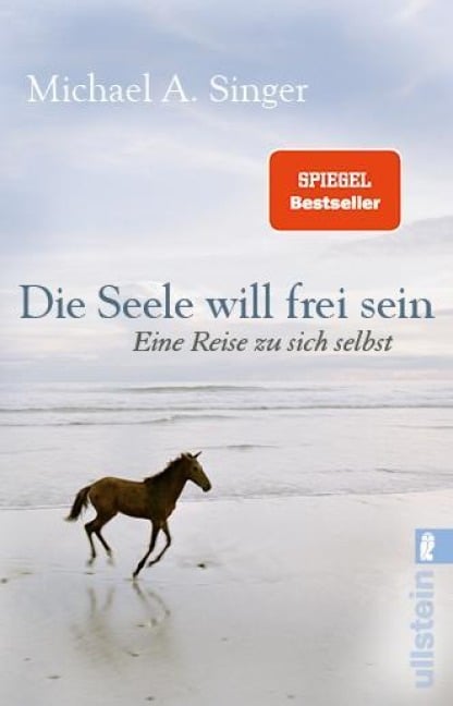 Die Seele will frei sein - Michael A. Singer