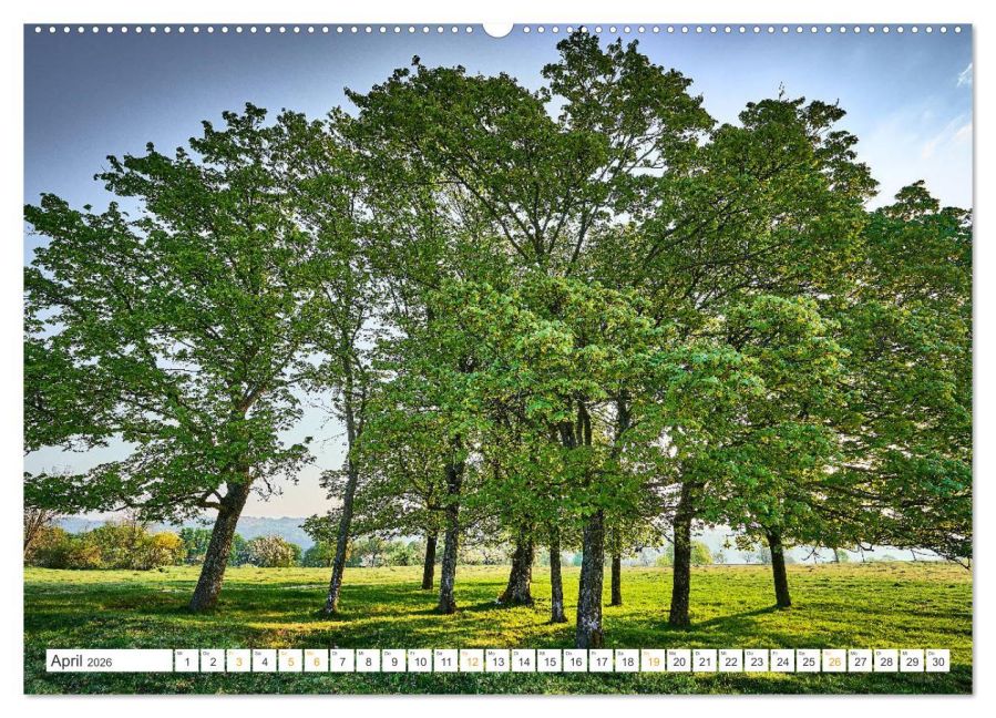 InsideView 8