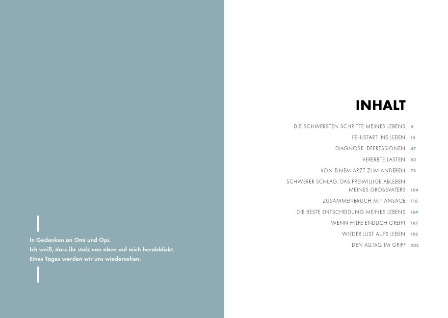InsideView 1