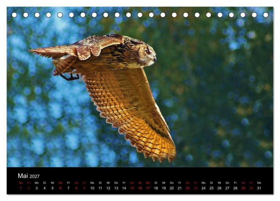 InsideView 10