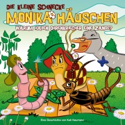 Cover-Bild zum Titel '41: Warum haben Ohrenkriecher eine Zange?' von 'Kati Naumann, Klaus Brotmann'