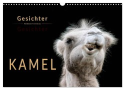 Cover-Bild zum Titel 'Kamel Gesichter (Wandkalender 2026 DIN A3 quer), CALVENDO Monatskalender' von 'Peter Roder'