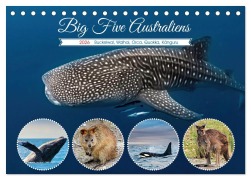 Cover-Bild zum Titel 'Big Five Australiens Buckelwal, Walhai, Orca, Quokka,Känguru (Tischkalender 2026 DIN A5 quer), CALVENDO Monatskalender' von 'Susan Michel'