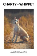 Cover-Bild zum Titel 'Whippet' von 'Jakub Kowalczyk'