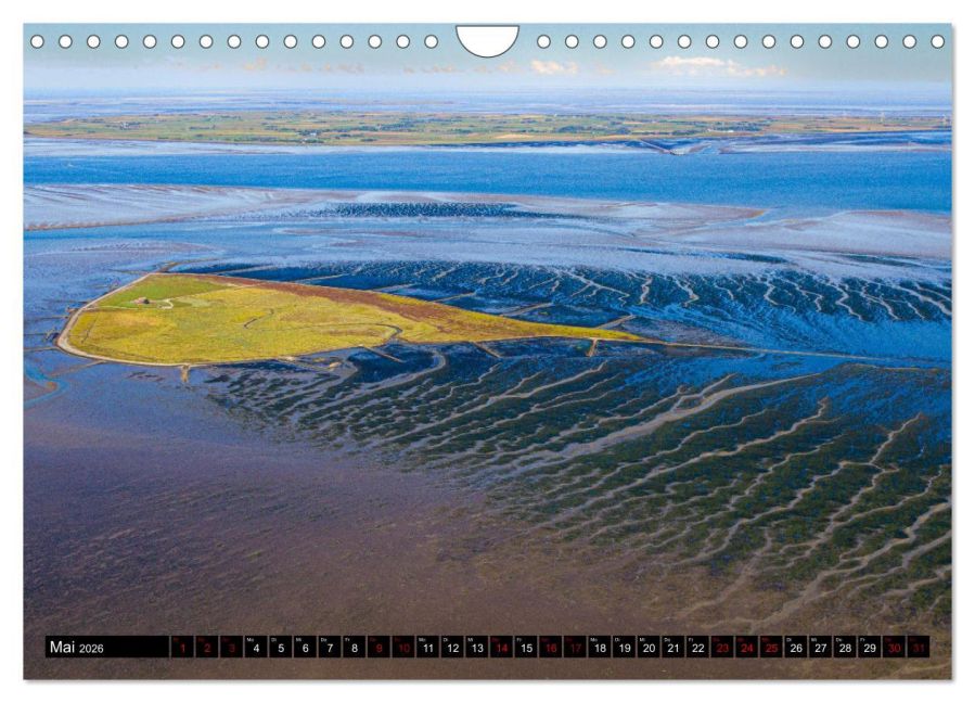 InsideView 10