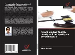 Prawo umów: Teoria, praktyka i perspektywy porównawcze - Saber Ahmadi