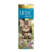 Cover-Bild zum Titel 'TRÖTSCH - Streifenkalender Katzen 2027 Notizkalender' von ''
