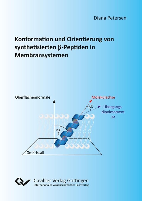 Konformation und Orientierung von synthetisierten ß-Peptiden in Membransystemen - 