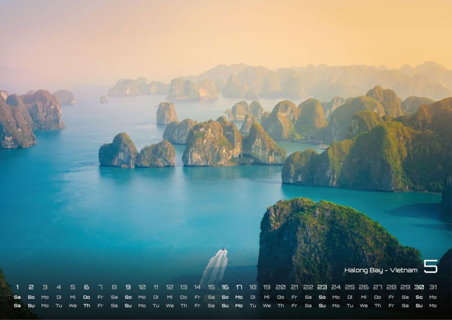 InsideView 5