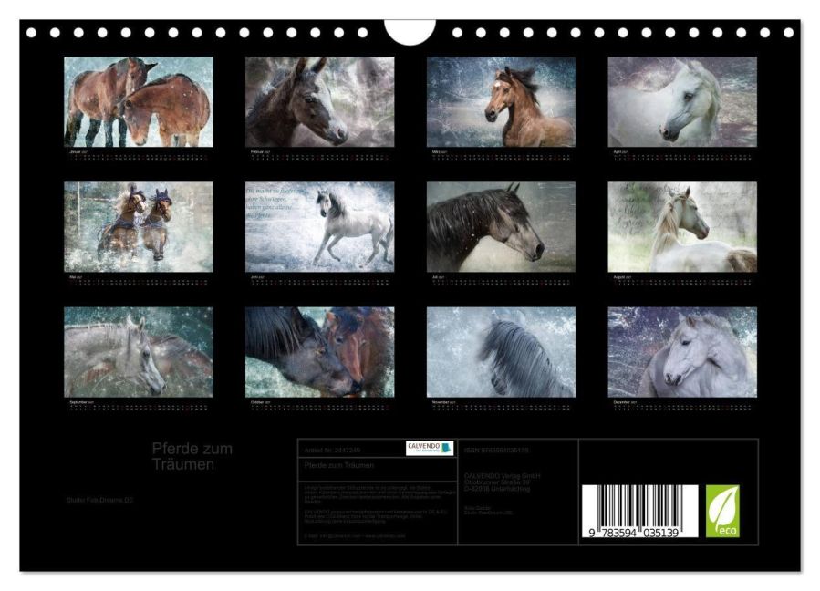 InsideView 5