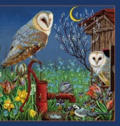 Cover-Bild zum Titel 'Kleine Vogel-Wunderkammer' von ''