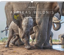 Hautnah - Afrikas Wildnis 2026 - Bild-Kalender - Poster-Kalender - 60x50 - 