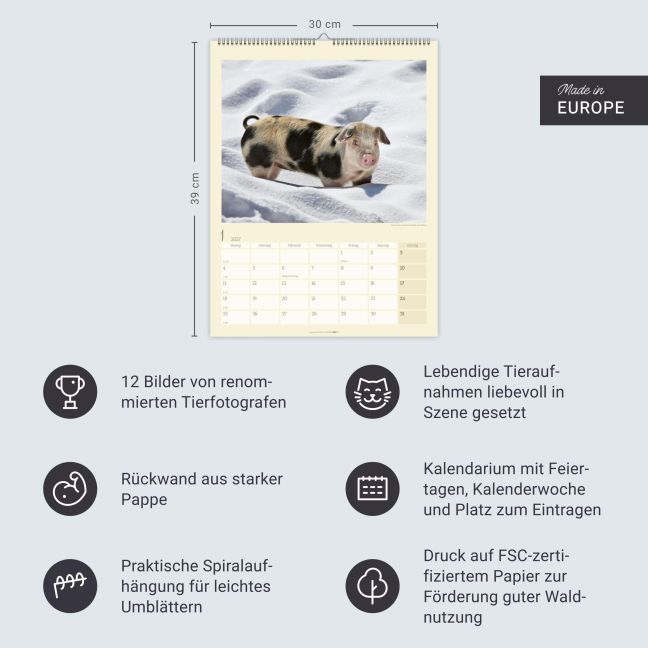 InsideView 13