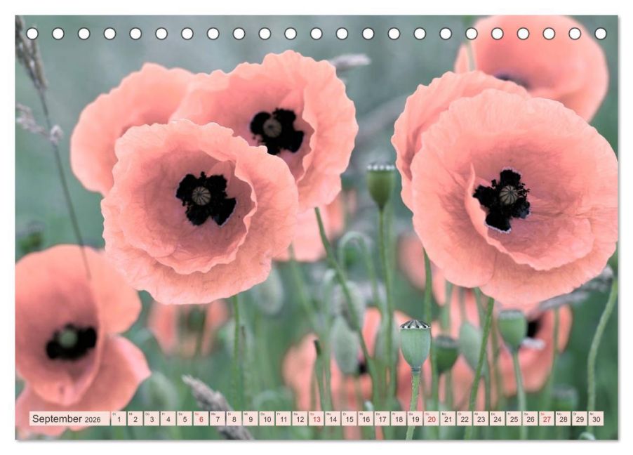 InsideView 14