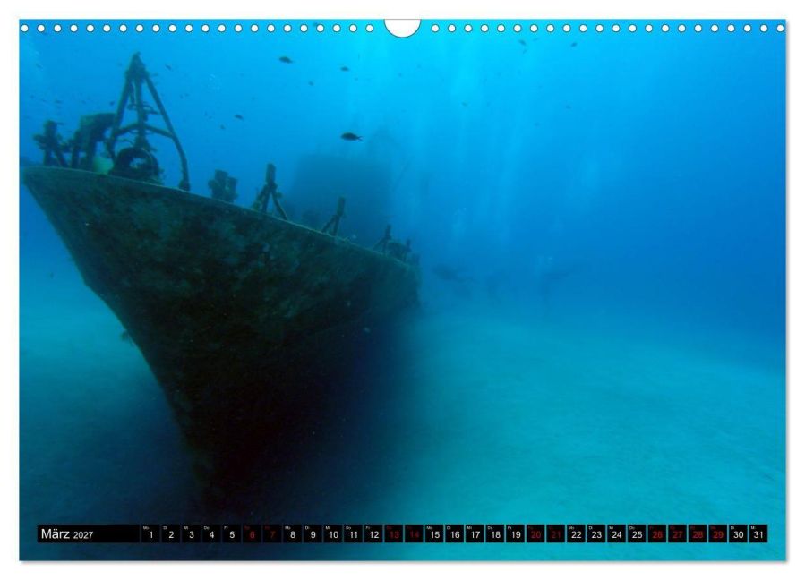 InsideView 8
