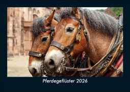 Cover-Bild zum Titel 'Pferdegeflüster 2026 Fotokalender DIN A5' von 'Tobias Becker'