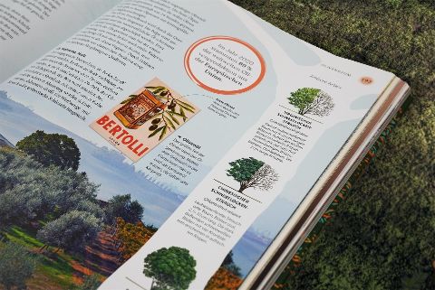 InsideView 13
