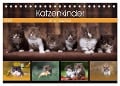 Katzenkinder - Britisch Kurzhaar (Tischkalender 2024 DIN A5 quer), CALVENDO Monatskalender - Wabi Sabi Fotografie by Janina Bürger