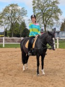 Cover-Bild zum Titel 'Ich werde euch finden' von 'Katharina Kocar'