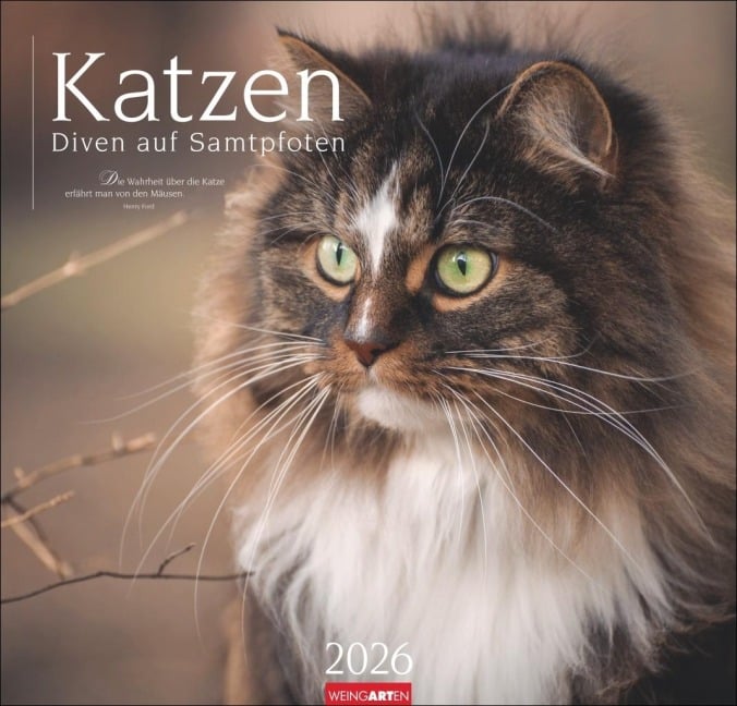 Katzen - Diven auf Samtpfoten Kalender 2026 - 