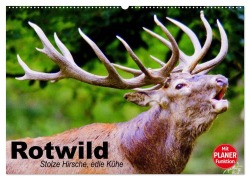Cover-Bild zum Titel 'Rotwild. Edle Hirsche, stolze Kühe (Wandkalender 2026 DIN A2 quer), CALVENDO Monatskalender' von 'Elisabeth Stanzer'