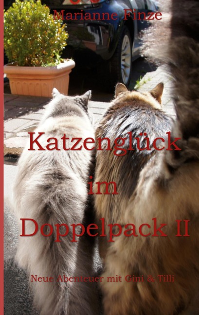Katzenglück im Doppelpack II - Marianne Finze