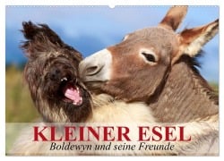 Kleiner Esel. Boldewyn und seine Freunde (Wandkalender 2026 DIN A2 quer), CALVENDO Monatskalender - Elisabeth Stanzer