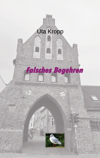 Falsches Begehren - Uta Kropp