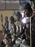 Cover-Bild zum Titel 'Buddhism 104' von 'Willy Thorn'