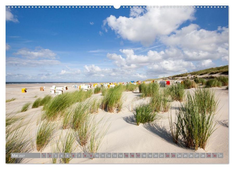 InsideView 10
