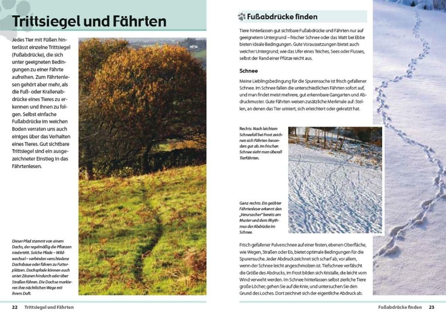 InsideView 1