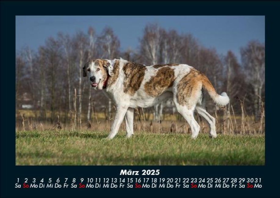 InsideView 7
