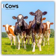 Cover-Bild zum Titel 'Cows - Kühe 2026 - 16-Monatskalender' von 'Browntrout Publishers'