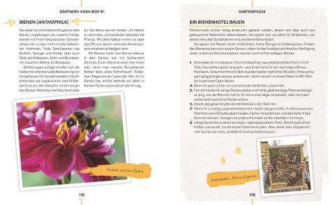 InsideView 6