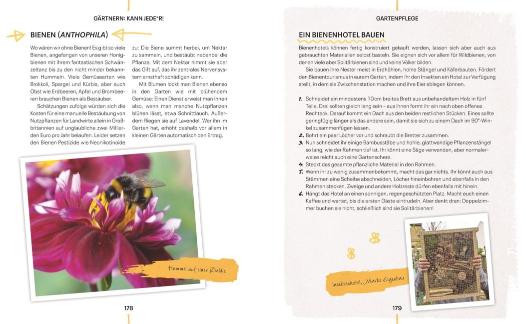 InsideView 6