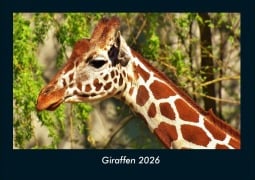 Cover-Bild zum Titel 'Giraffen 2026 Fotokalender DIN A4' von 'Tobias Becker'