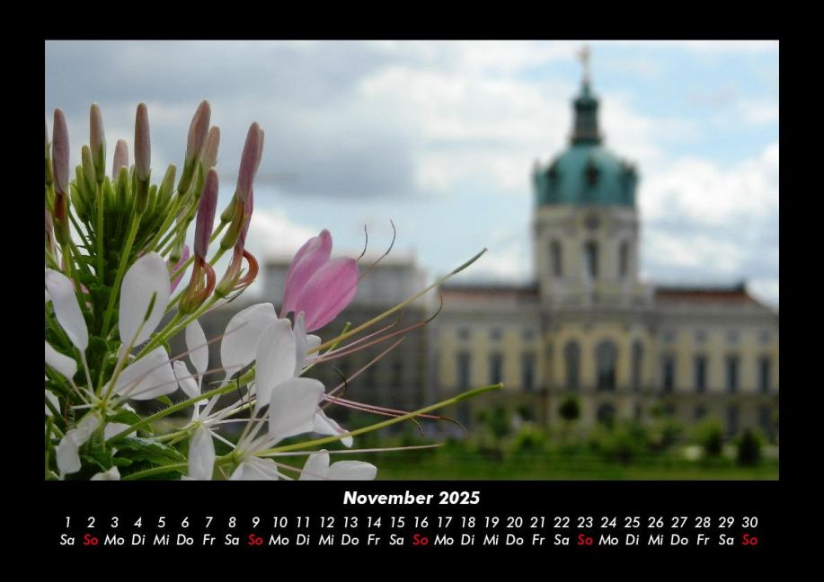 InsideView 3