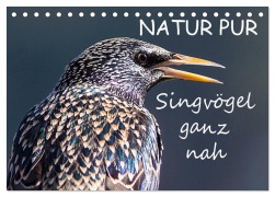 NATUR PUR - Singvögel ganz nah (Tischkalender 2026 DIN A5 quer), CALVENDO Monatskalender - Karin Dietzel